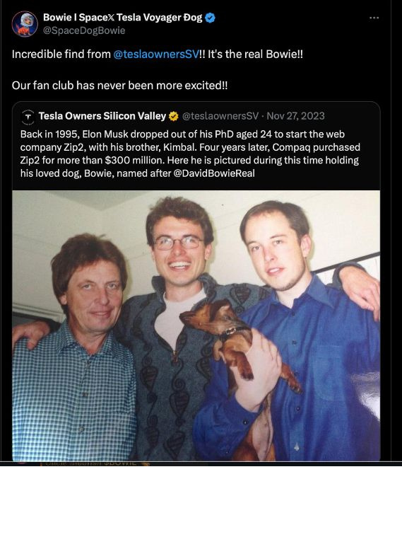 Bowie archive card one