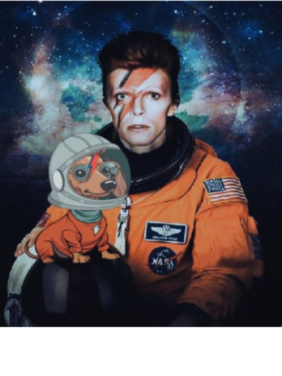 Bowie archive card three